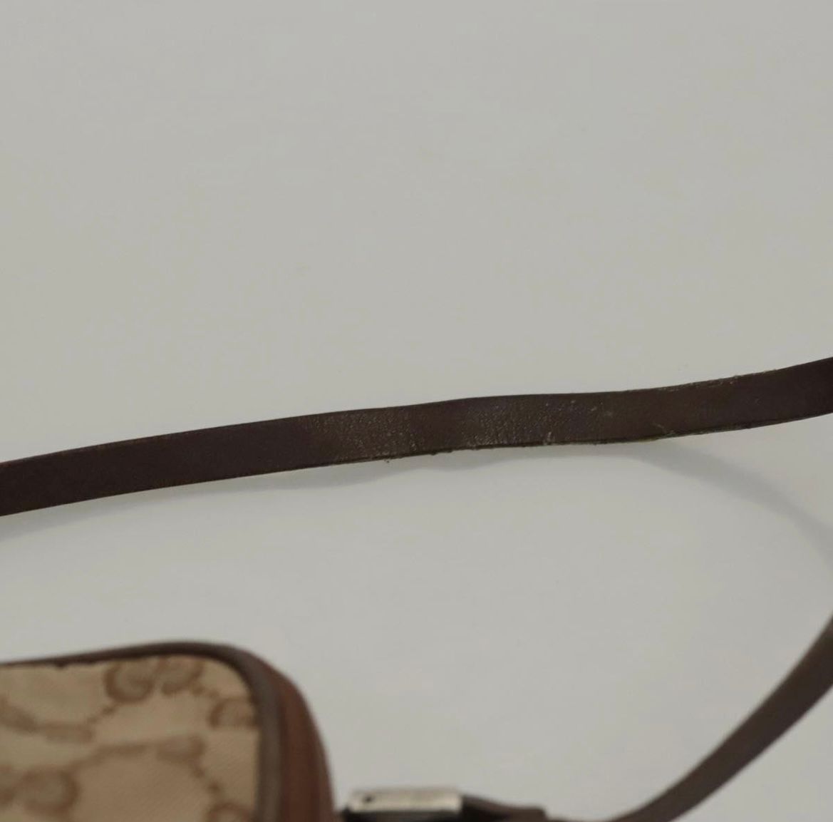 Gucci Canvas