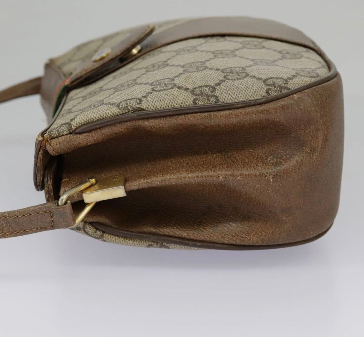 Gucci Supreme Ophidia