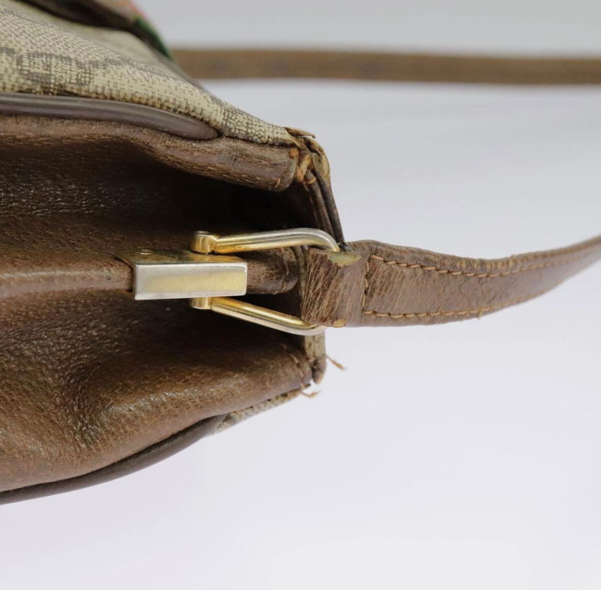 Gucci Supreme Ophidia