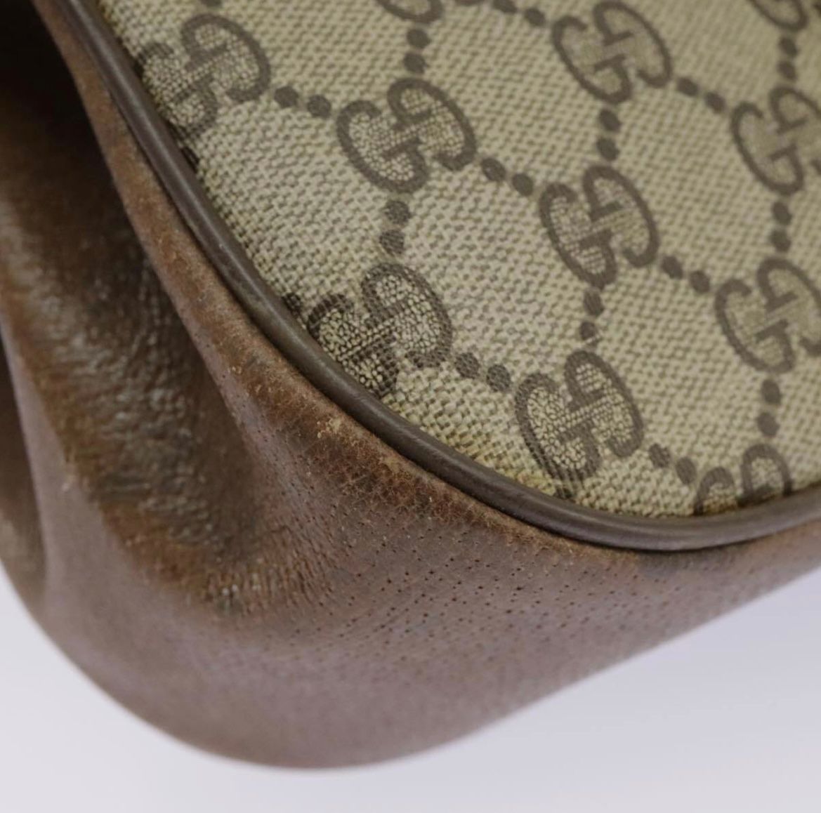 Gucci Supreme Ophidia